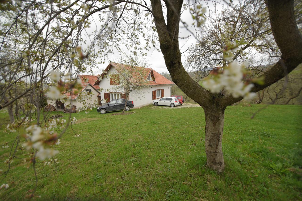 Casa Bunicii - Bran Sohodol Villa Sohodol  Bagian luar foto