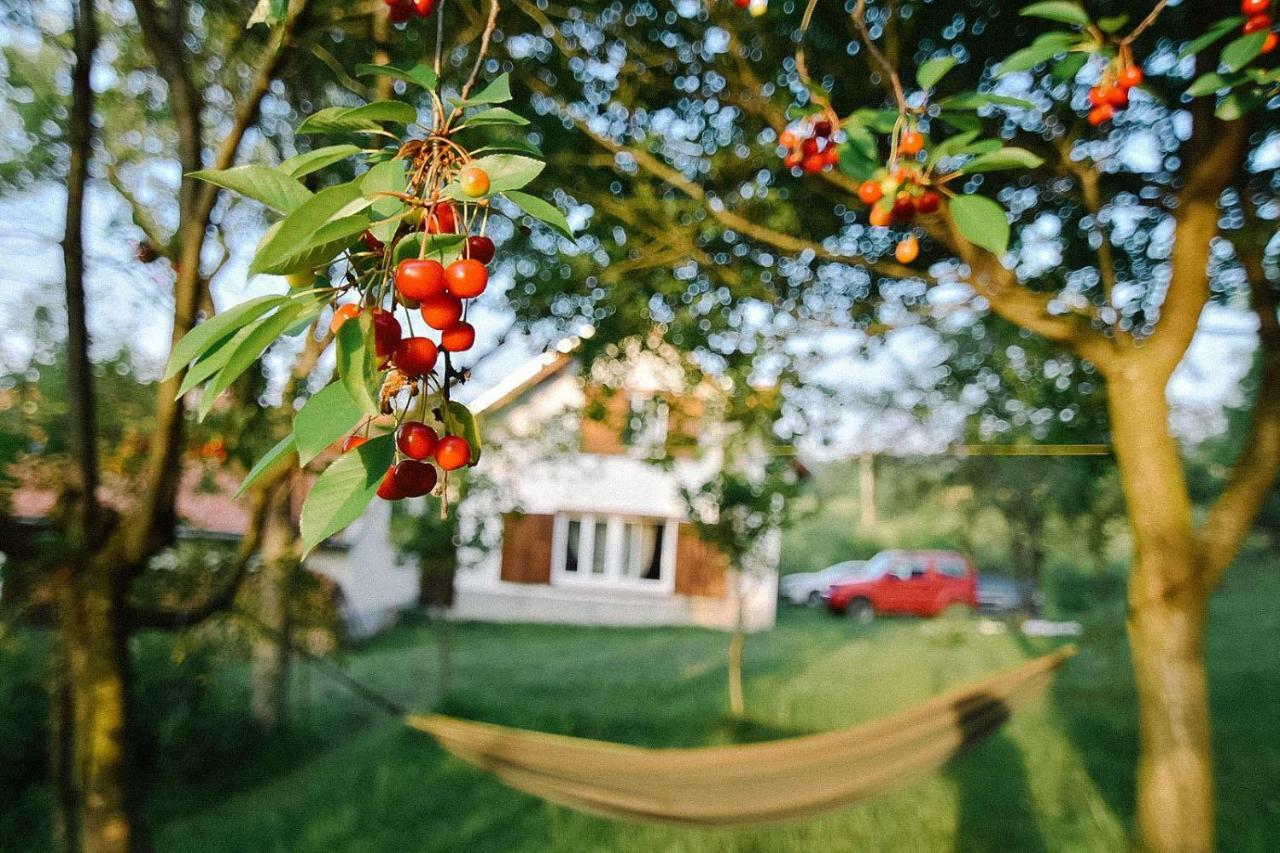 Casa Bunicii - Bran Sohodol Villa Sohodol  Bagian luar foto