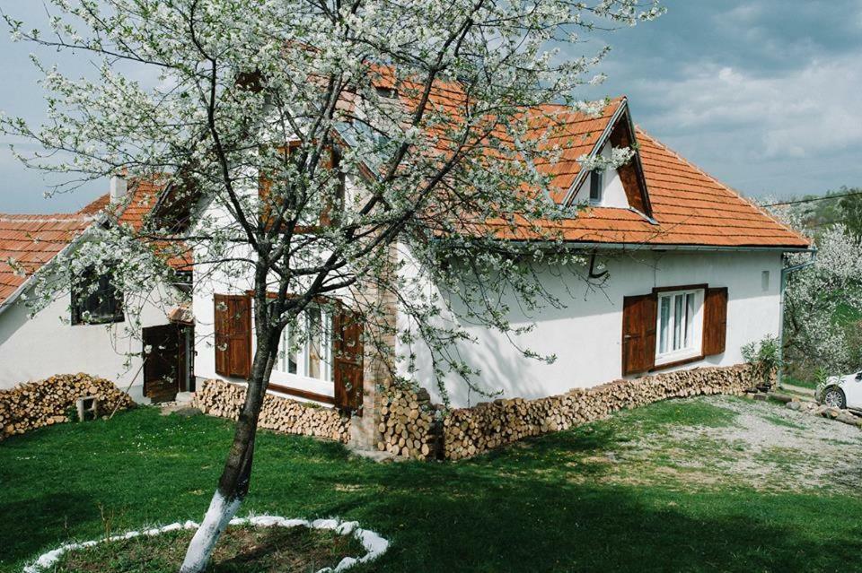 Casa Bunicii - Bran Sohodol Villa Sohodol  Bagian luar foto